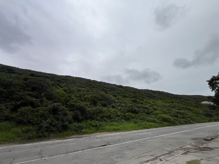 0 Bedroom Property for Sale in Amsterdamhoek Eastern Cape